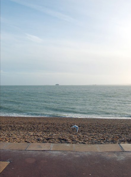 cc72webseafront27.1.13