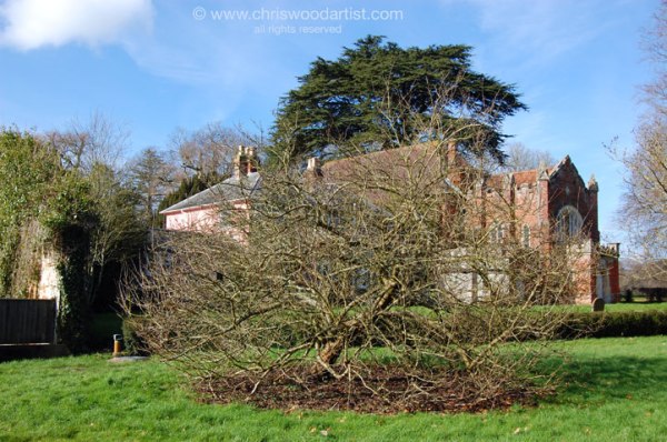 medlartreeandchurch72