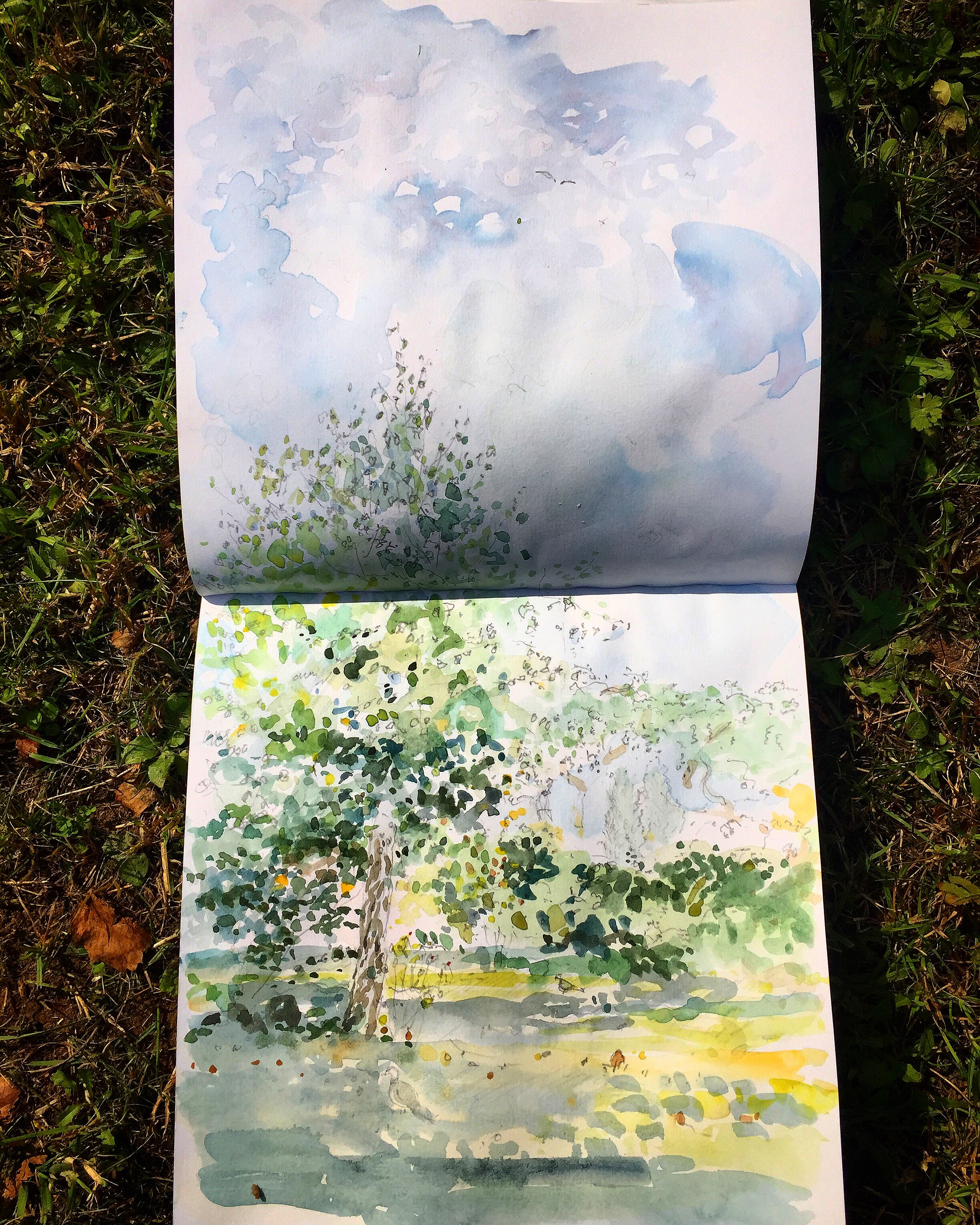 50B003F7-5D37-4DAF-AAB4-3DB0DA13522A