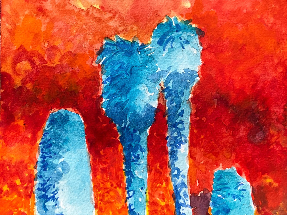 RED HOT pokers & other&nbsp;distractions